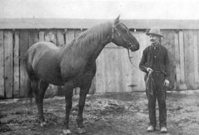 "Petermccuewithcaudell" by Unknown - From Speed and the Quarter Horse by Nelson C. Nye. Licensed under Public Domain via Commons -