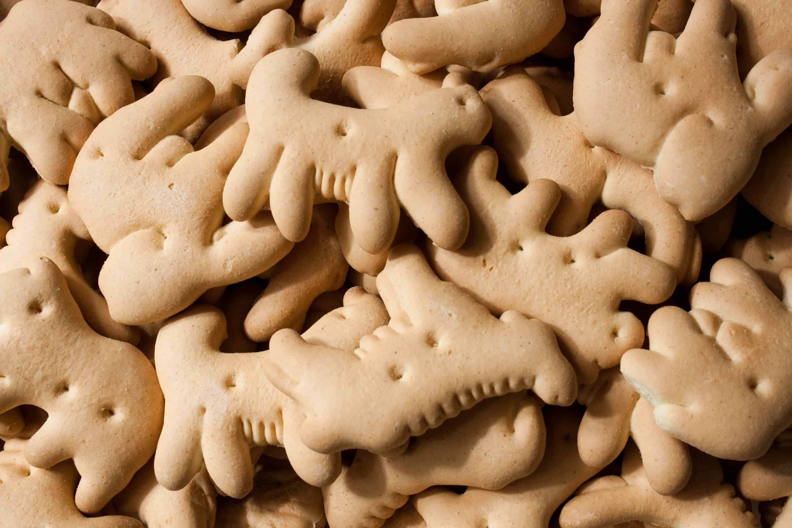 A pile of delicious animal cracker cookies.