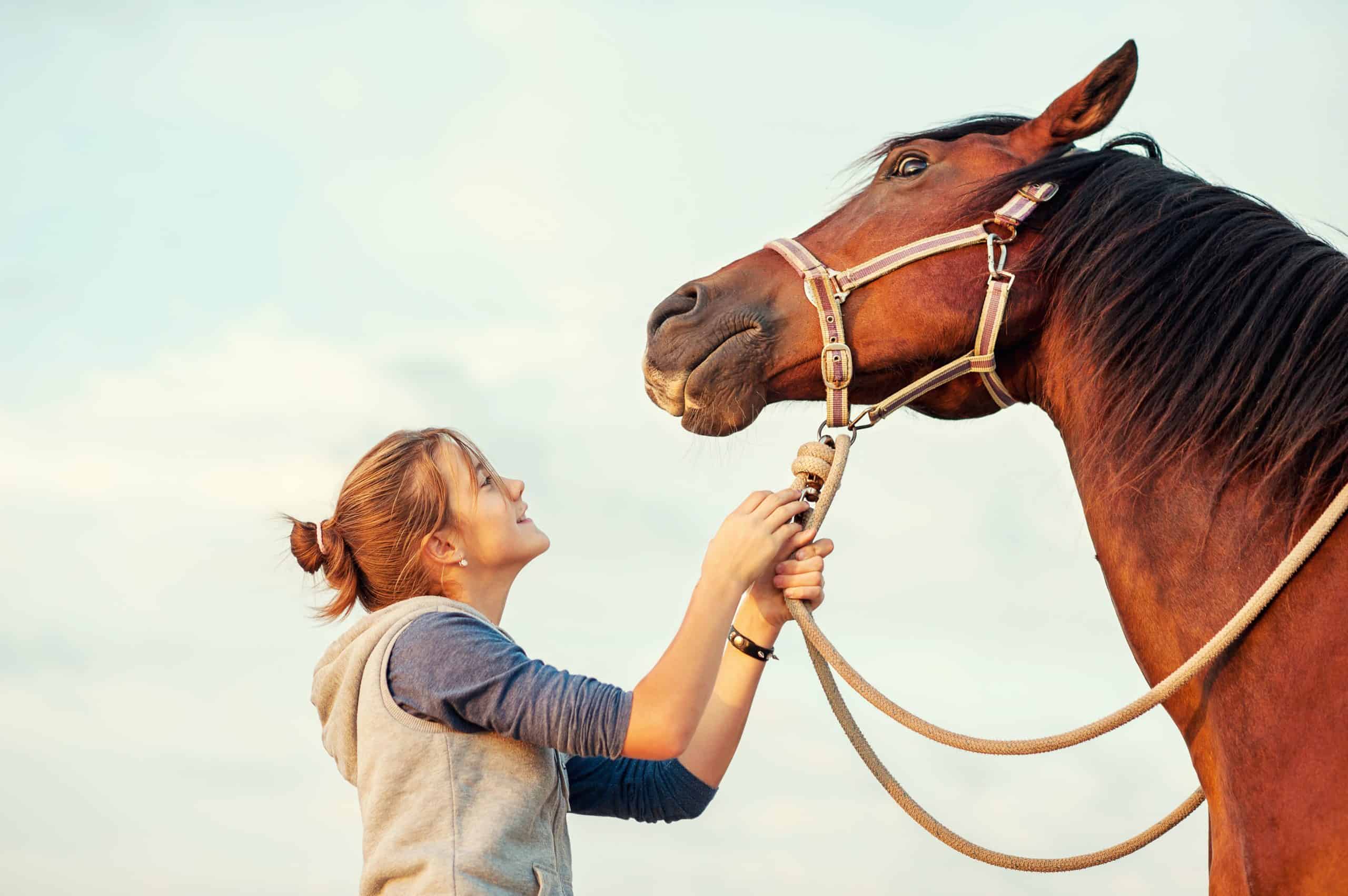 Young cheerful teenage girl calming big spirit chestnut horse. Vibrant multicolored summertime outdoors horizontal image with filter.