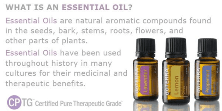 A Guide To Using Essential Oils For Horses