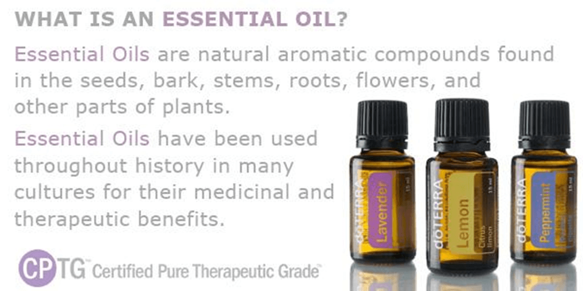 A Guide To Using Essential Oils For Horses