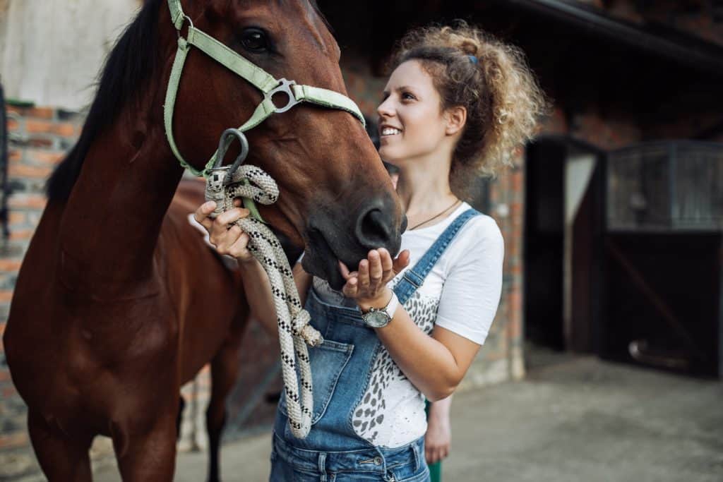 tips for better communication with your horse