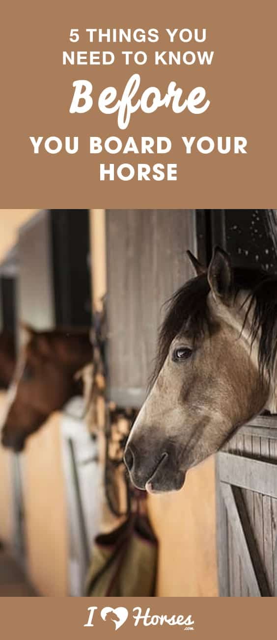 5 Things You Need To Know Before You Board Your Horse