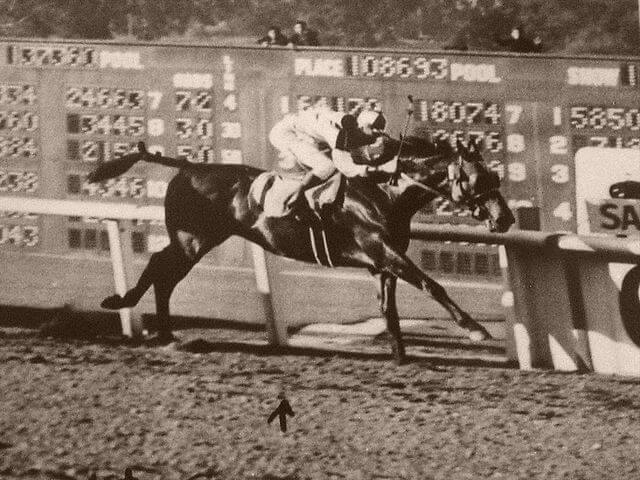 seabiscuit anita racehorse thoroughbred pollard sah ihearthorses champion caballos admiral winner creste tom significato chevaux secretariat