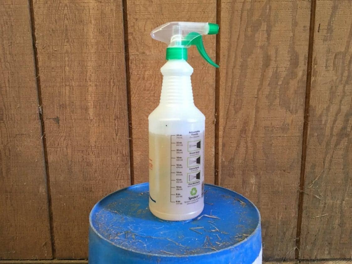 How To Make Homemade Fly Spray For Horses That