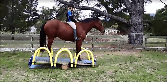 Seesaw horse store