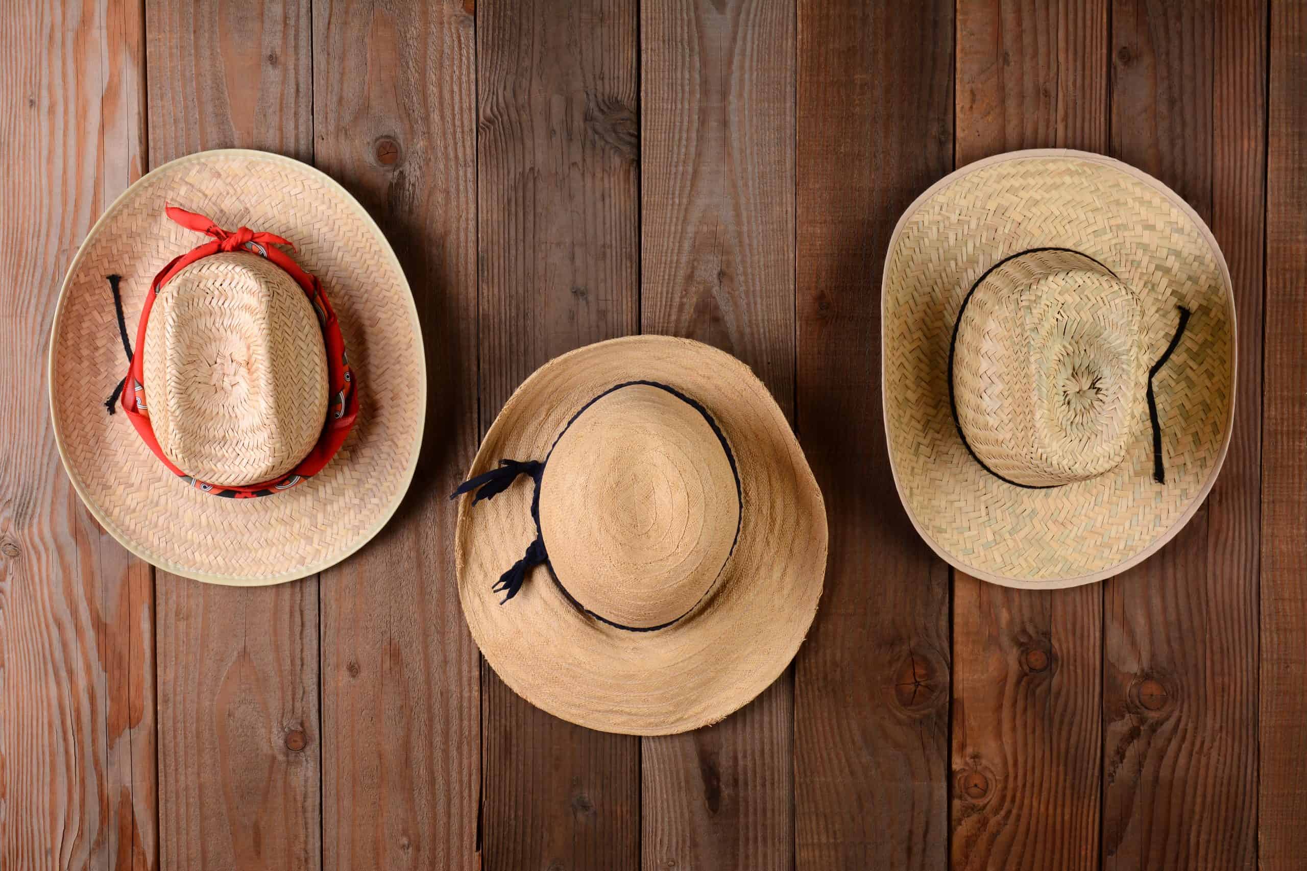 Three straw hats hanging on a rustic wood farmhouse wall. Closeup in horizontal format.