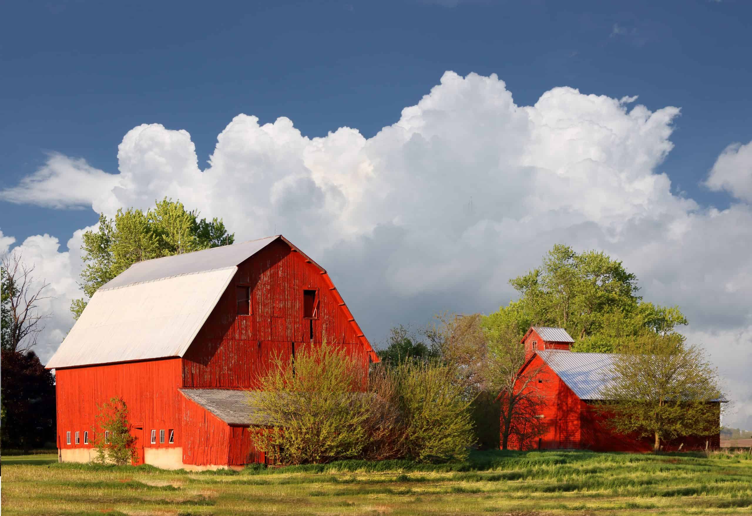 red barns