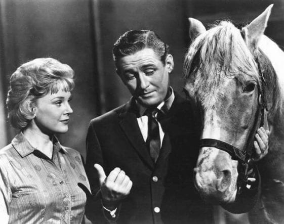 These Funny Quotes From Mr. Ed Are A Perfect Tribute To Alan Young