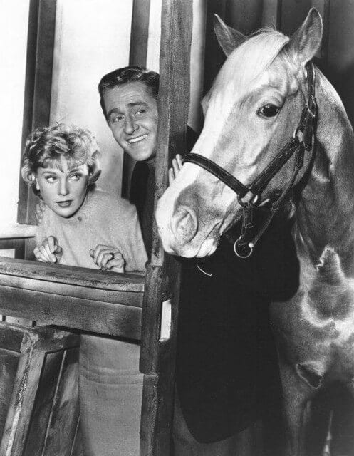 These Funny Quotes From Mr. Ed Are A Perfect Tribute To Alan Young ...