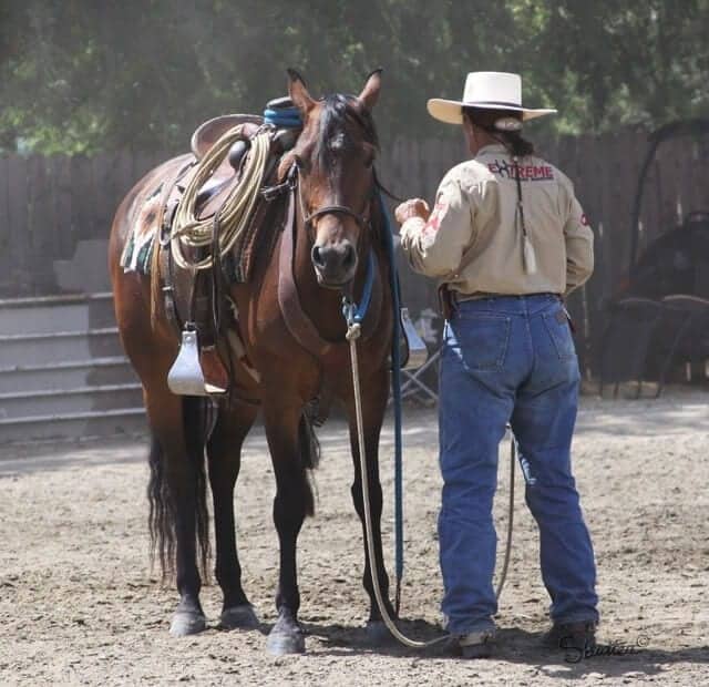 Image source: KigerMustangs.org