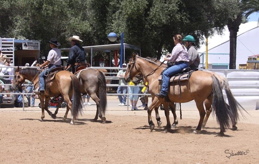 Image source: KigerMustangs.org