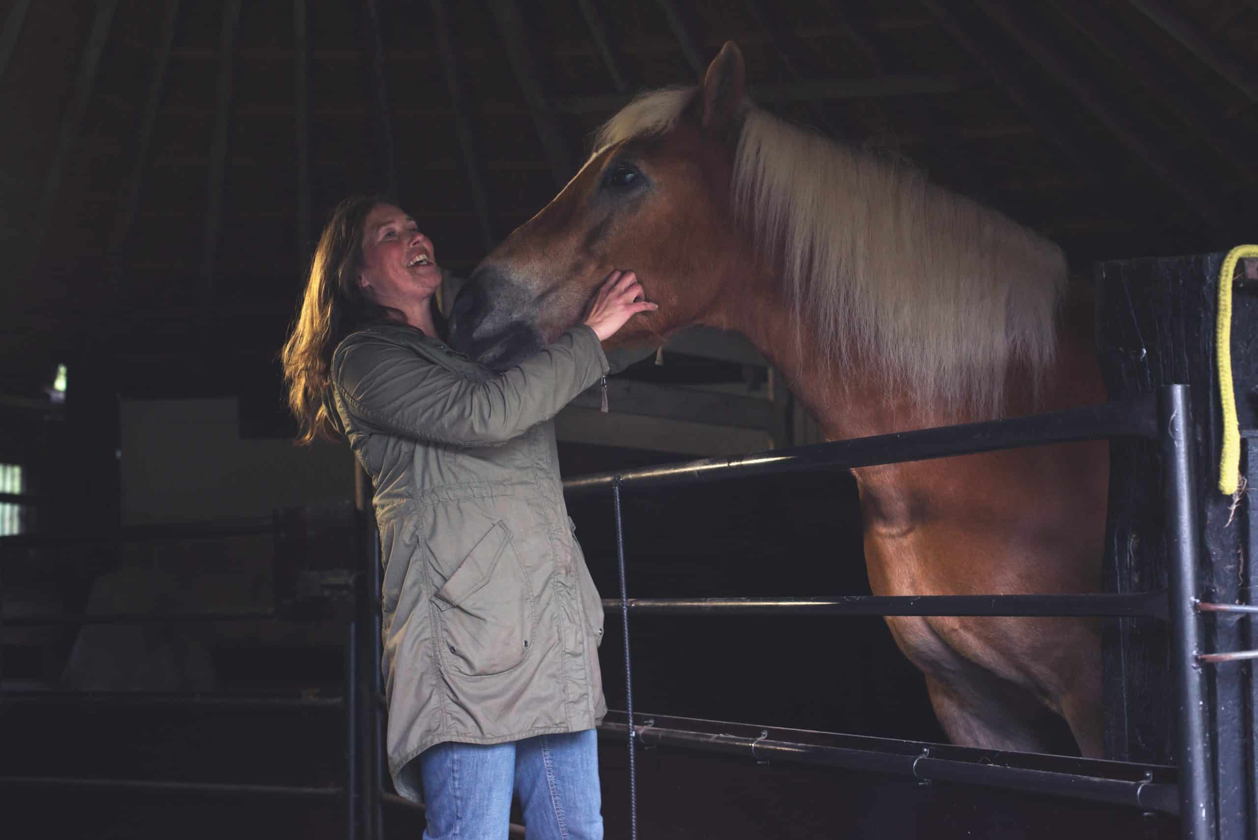 horse firework