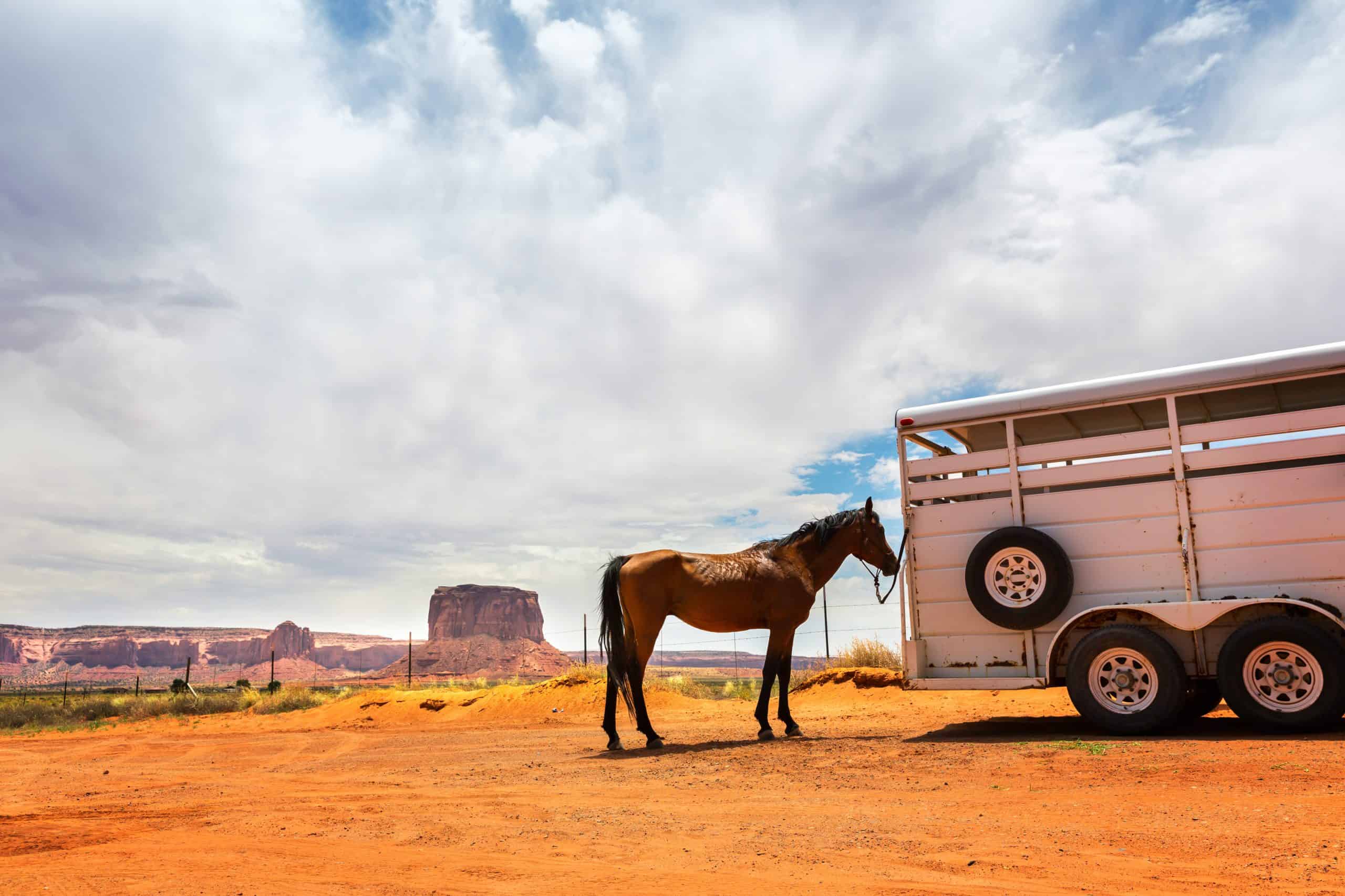 Horse near the trailer. Monument valley travaling