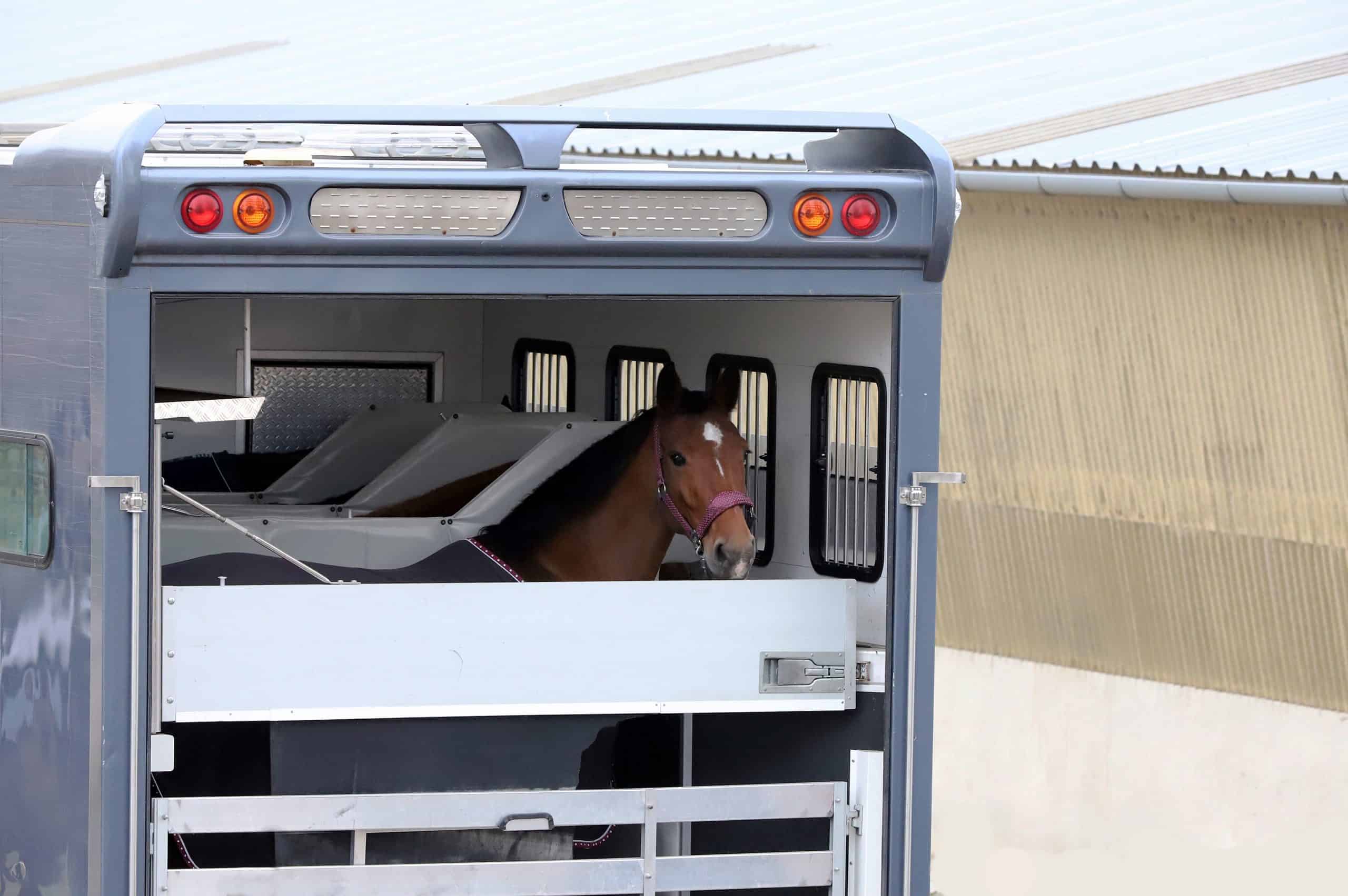 Trailer parking for horse transportation