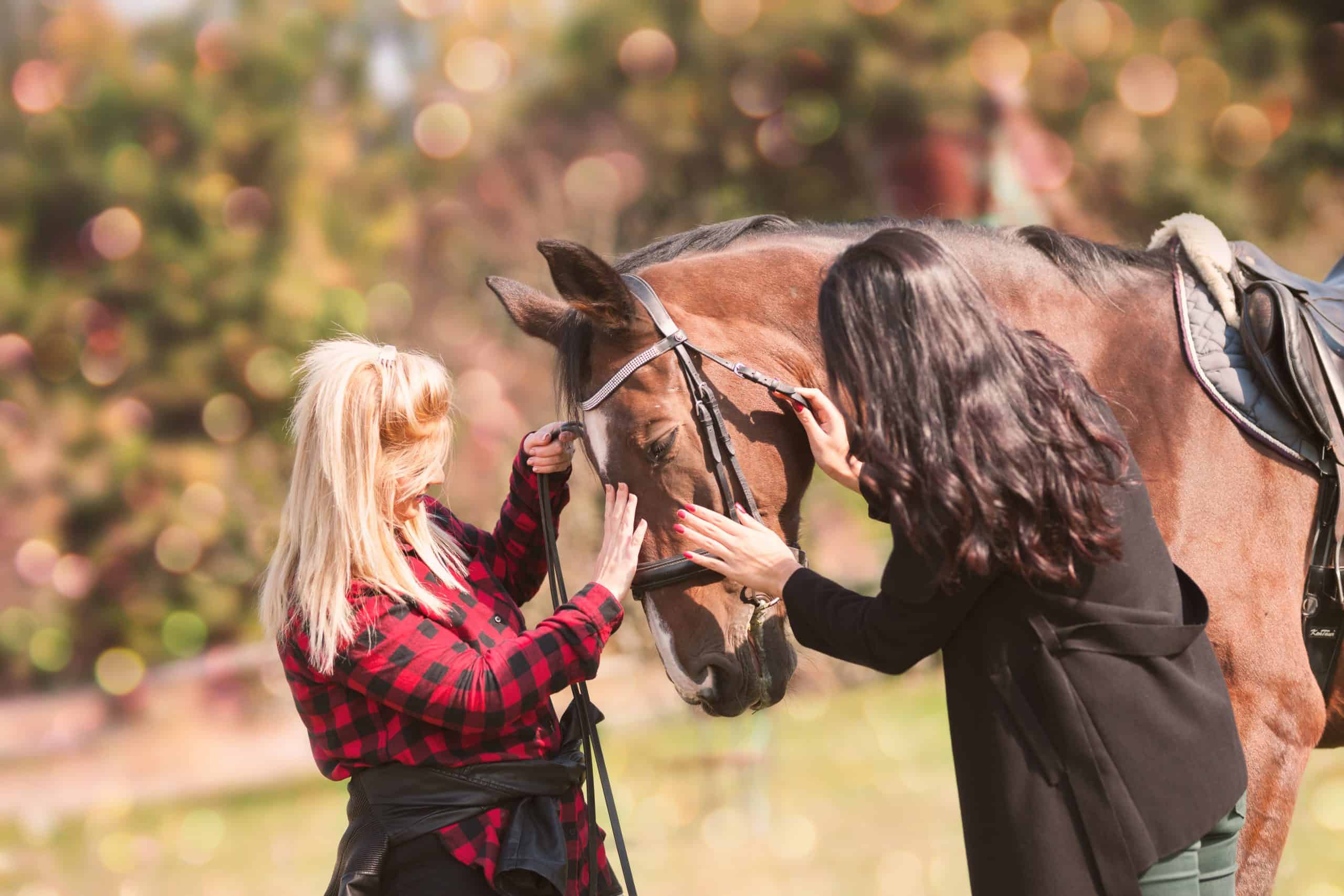 veterinarian and owner enjoying with a horse outdoors on ranch