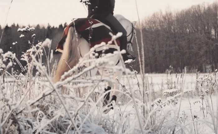 The Rider’s Prayer: A Beautiful Bond Between Horse And Rider