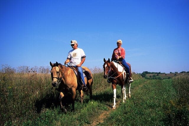 Image Source: Wisconsin Department of Natural Resources via Flickr