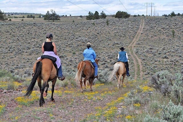 Image Source: Bureau of Land Management via Flickr