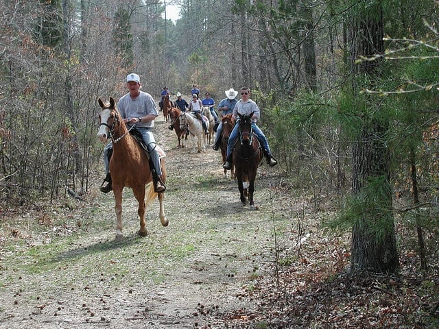 Image Source: Virginia State Parks via Flickr