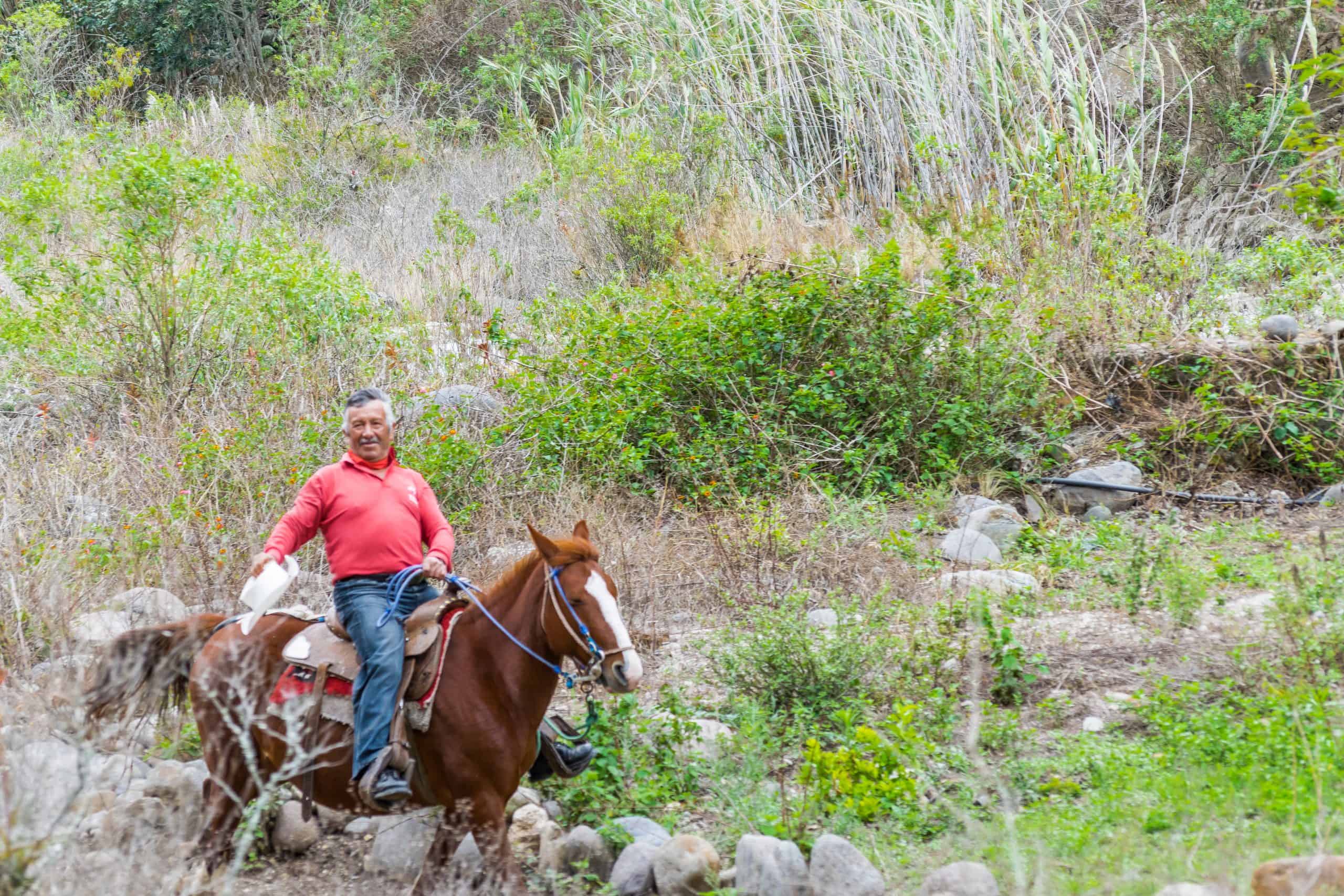 ALAUSI, ECUADOR, OCTOBER - 2015 - Latin cowbow riding a horse at nature landscape in the road of devil nose tour, Aluasi, Ecuador
