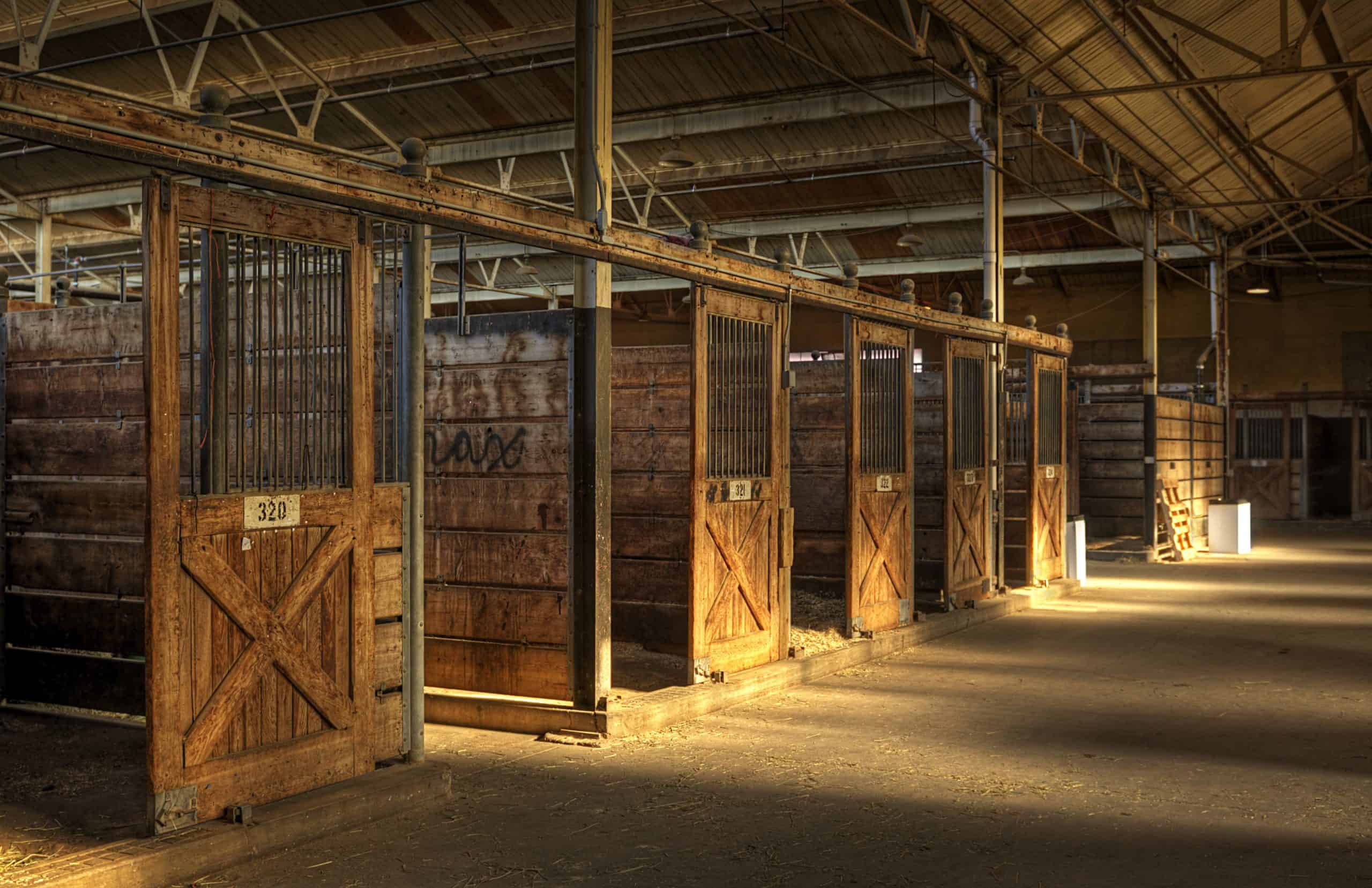 Empty Horse Barn - empty wooden stalls and light rays