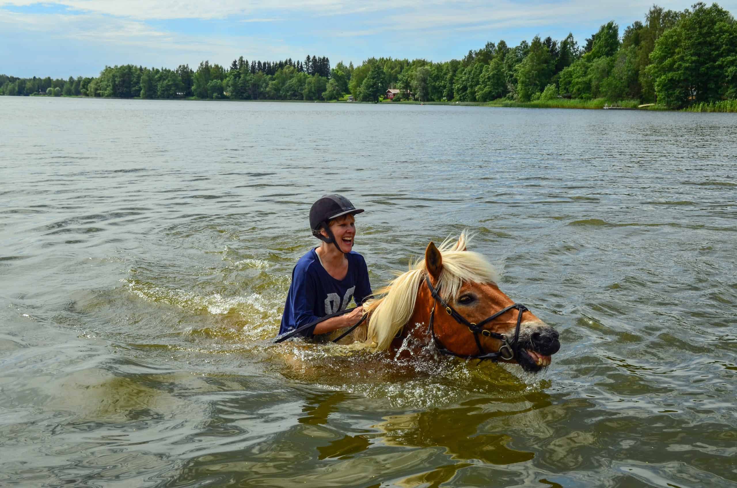 Horse swimming with woman rider