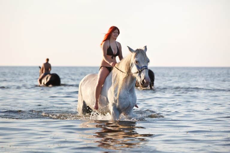 Woman with big white horse swimming in the sea