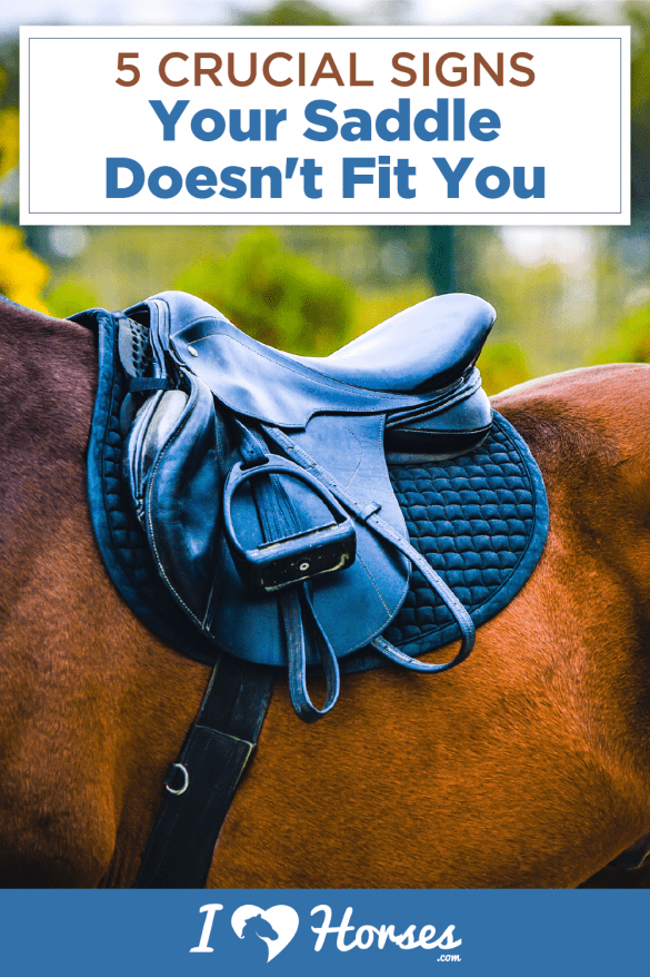 5 Important Signs That Your Saddle Doesn't Fit You