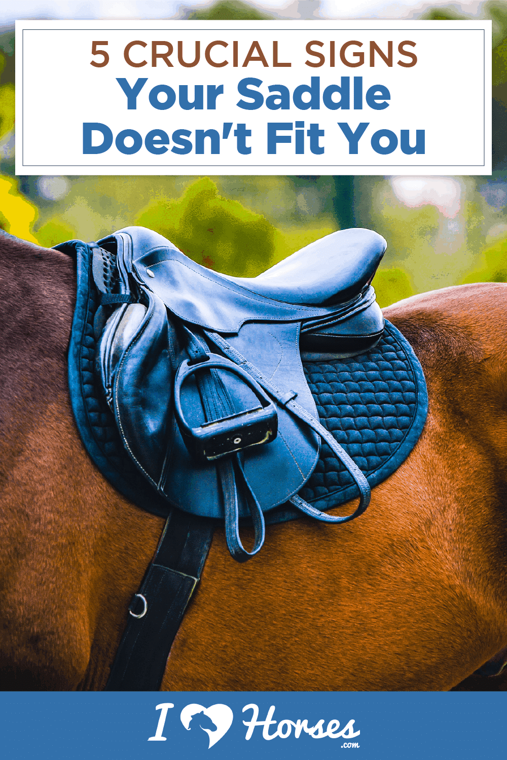 signs your saddle doesn't fit