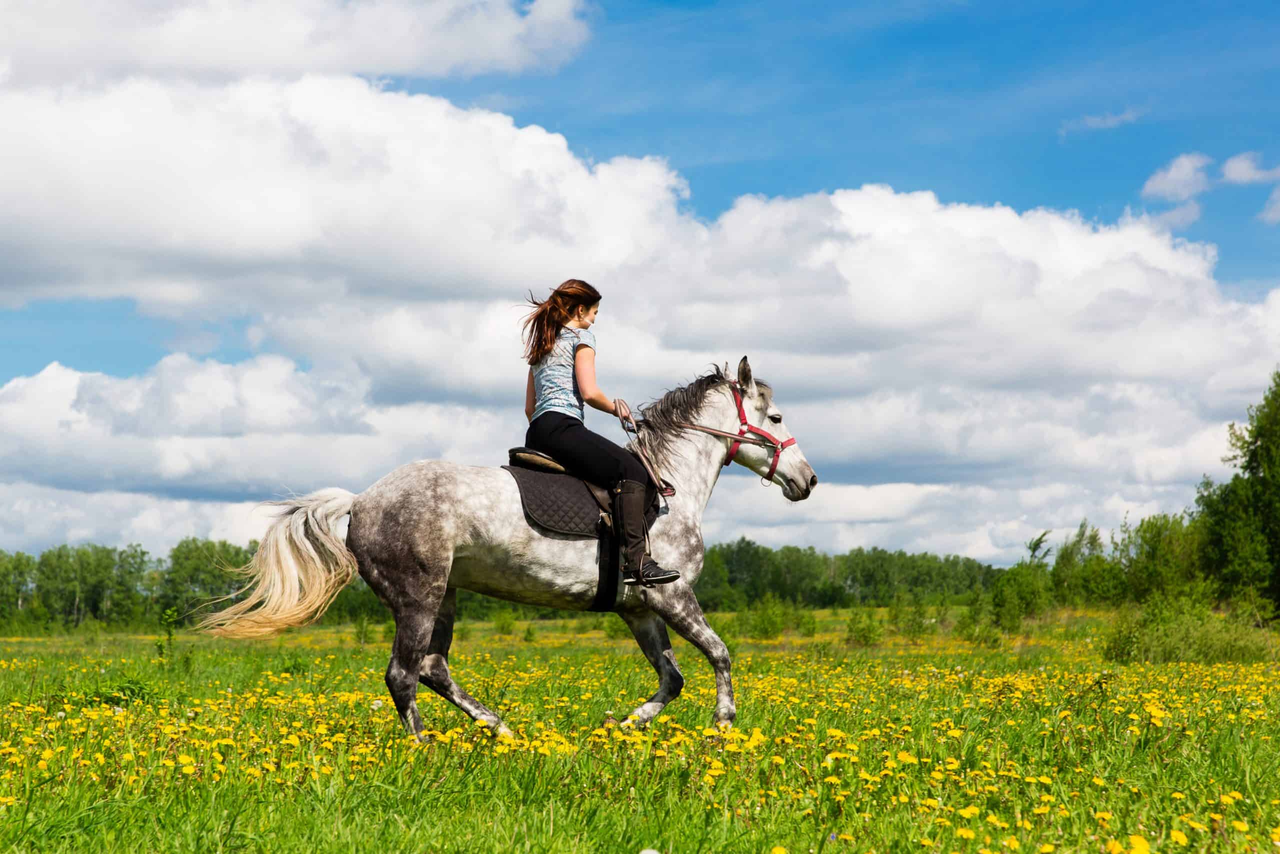 Woman riding on grey horse in the field