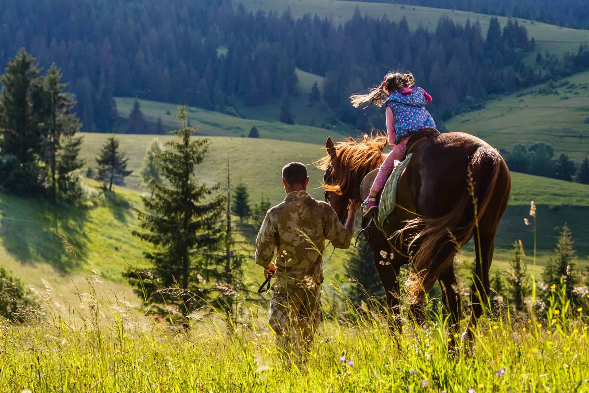 6 Things To Consider Before Letting Someone Ride Your Horse