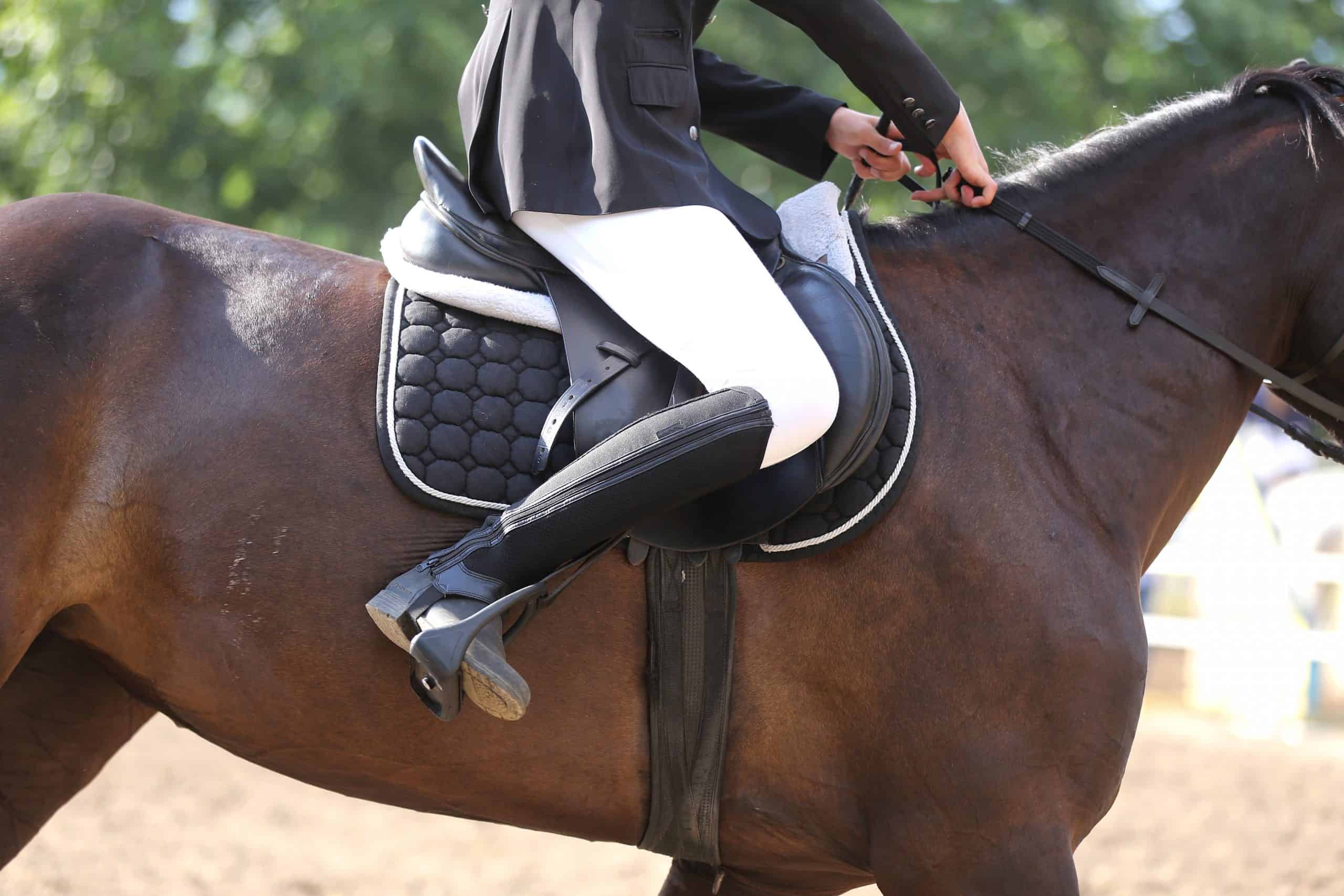 Beautiful handmade dressage horse riding saddle with girth, stirrup on saddle pad on the racetrack