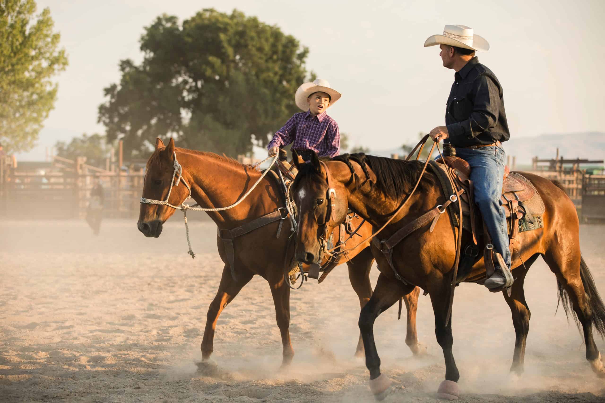 A father and young son brie horses in a rodeo arena.