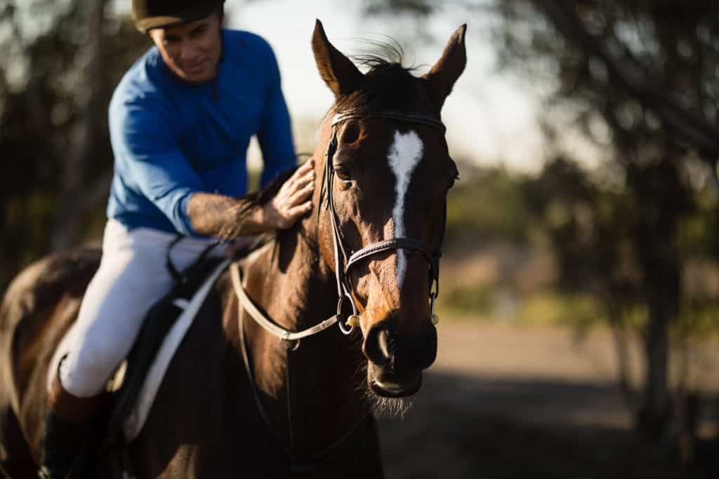 Jockey riding horse at barn