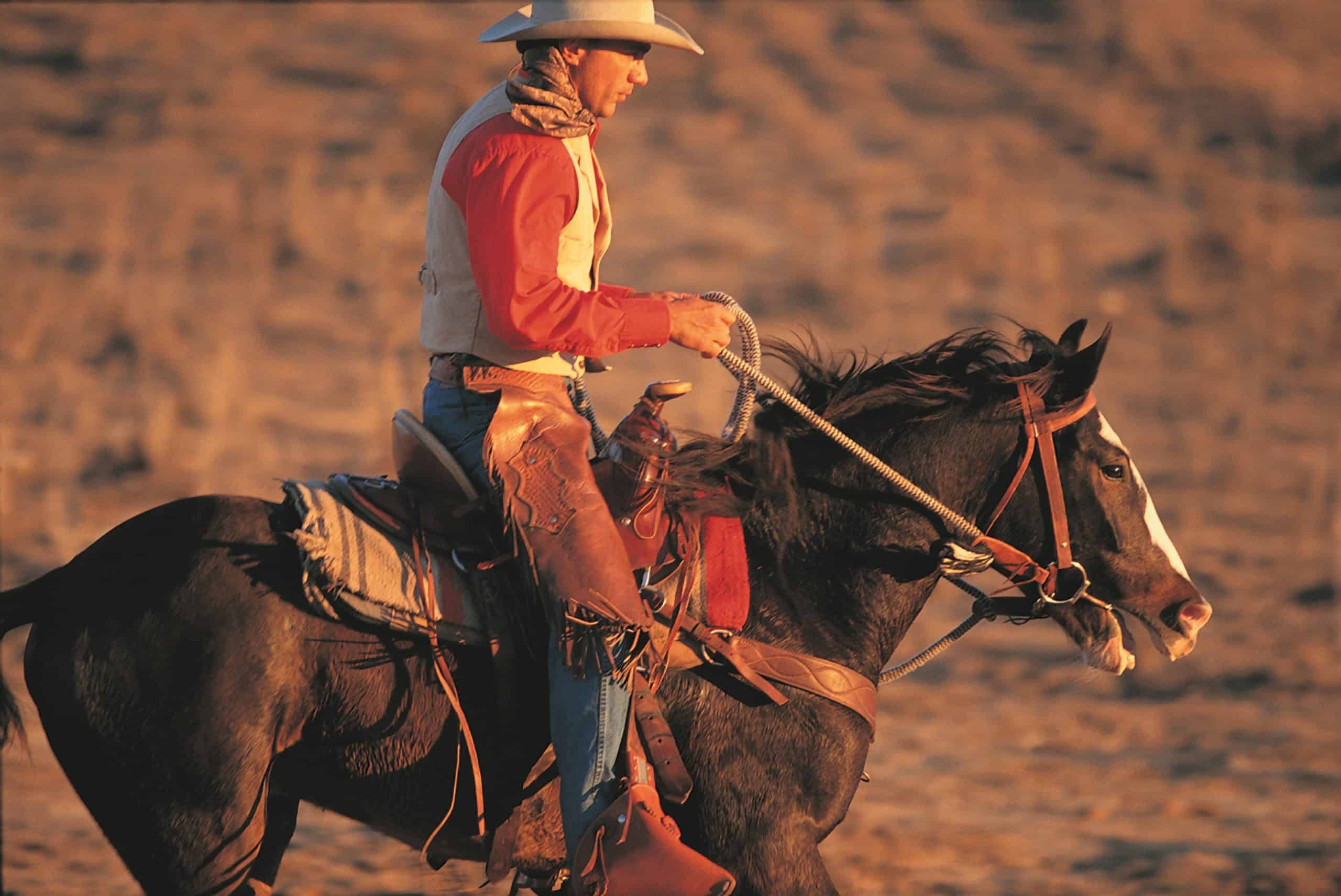 horseback reining