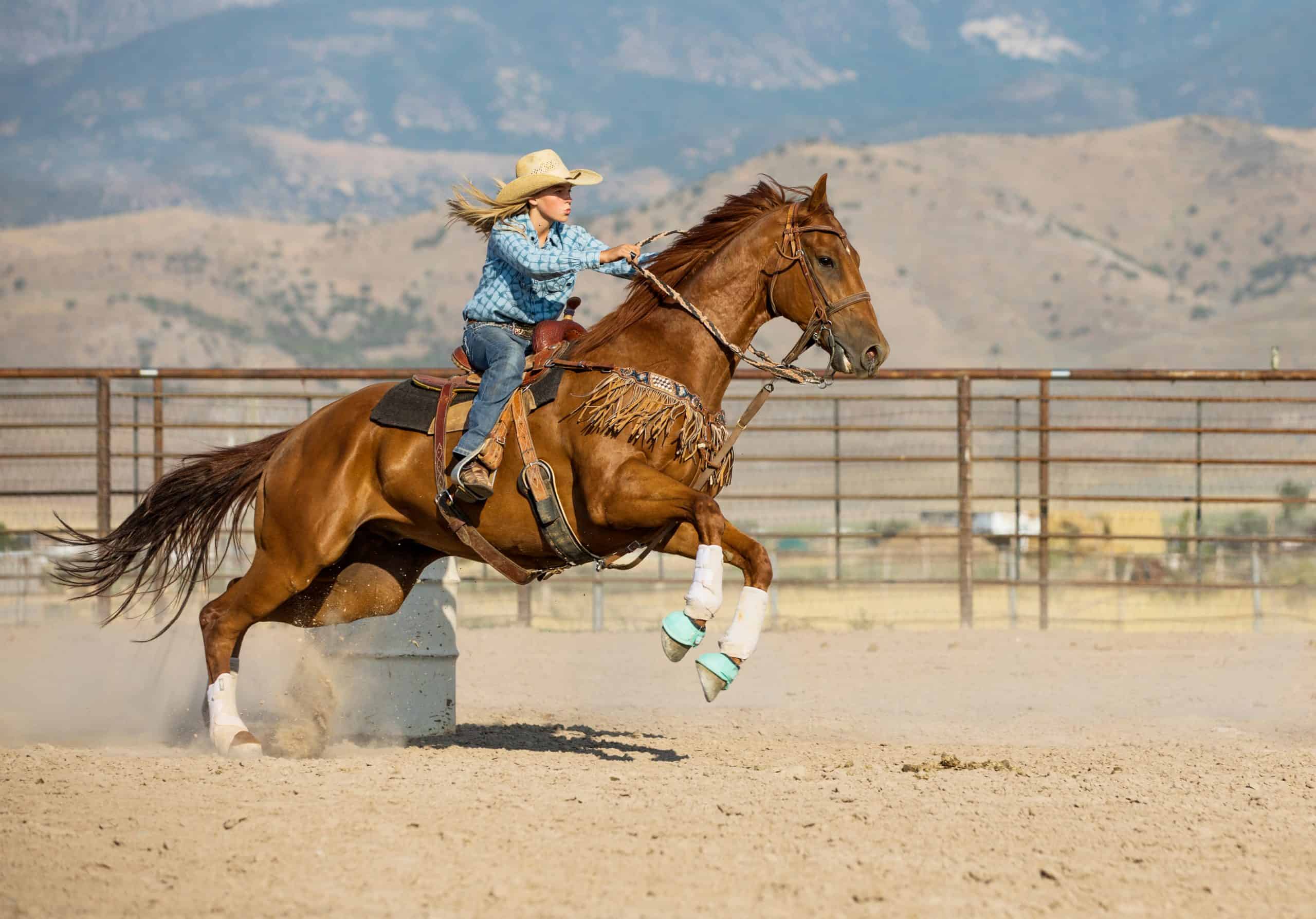 A teenage cowgirl barrel racing with her beautiful horse.