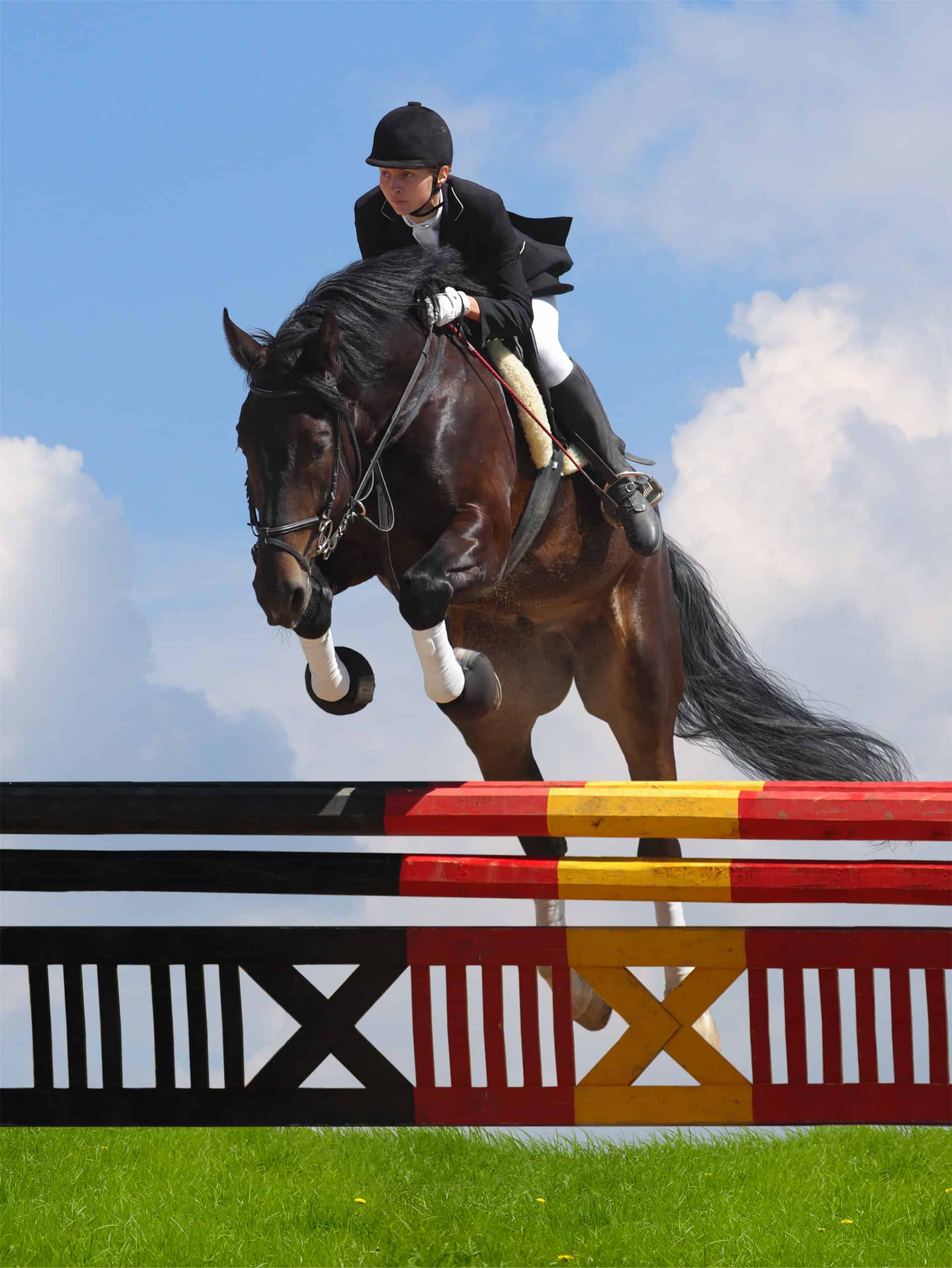 show jumping - woman and horse horseback riding styles