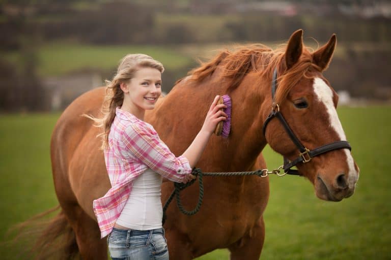 Teenage girl brushing horse in field