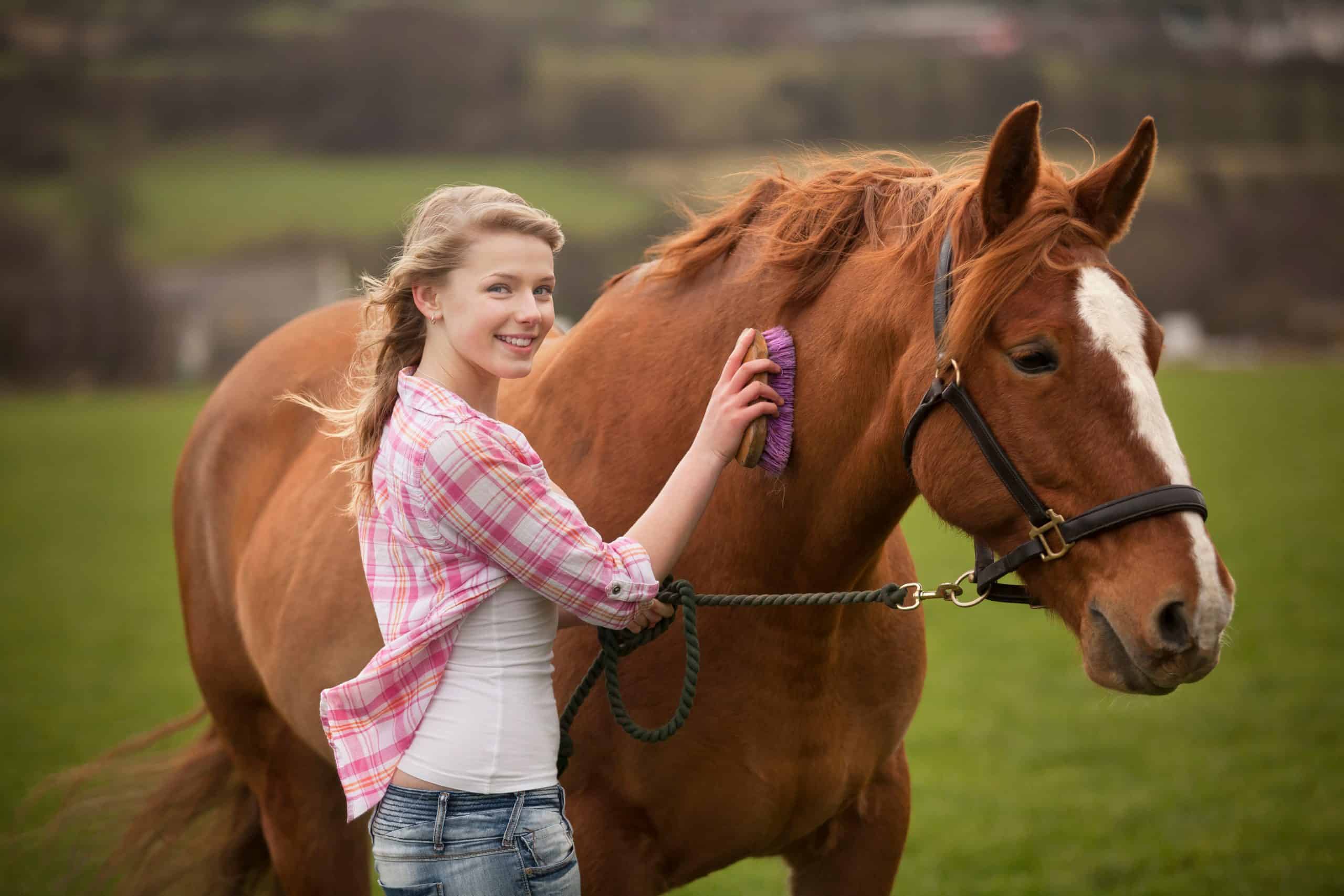 Teenage girl brushing horse in field