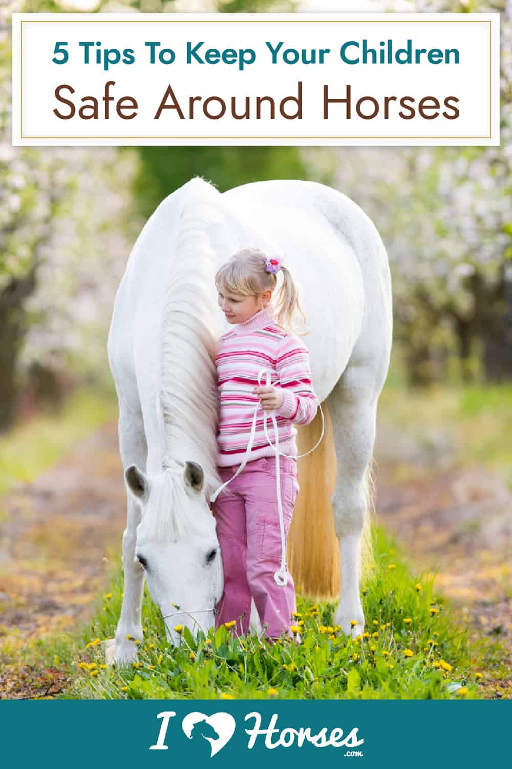 Important Tips For Child Safety Around Horses