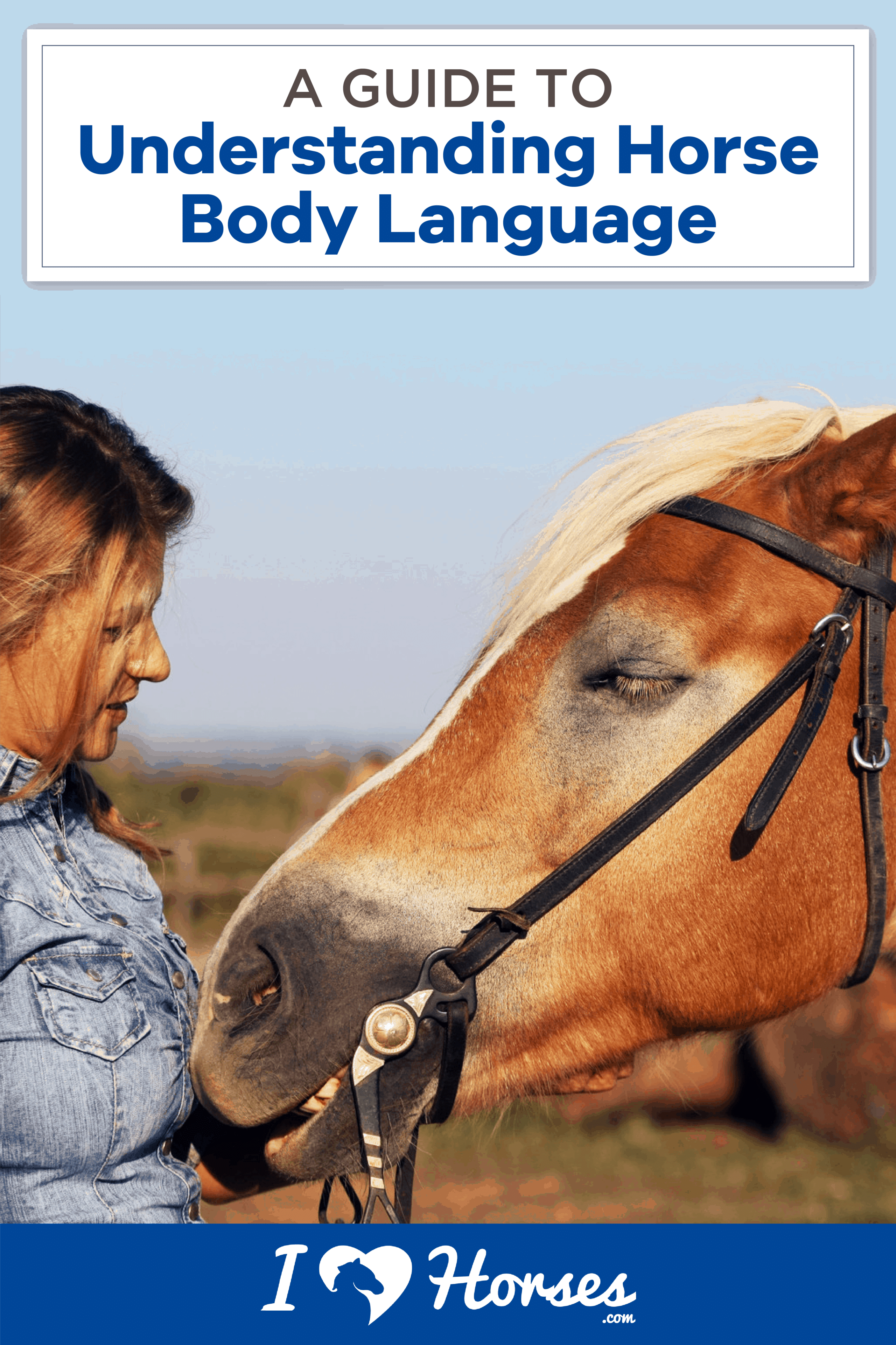 horse body language, horse and woman