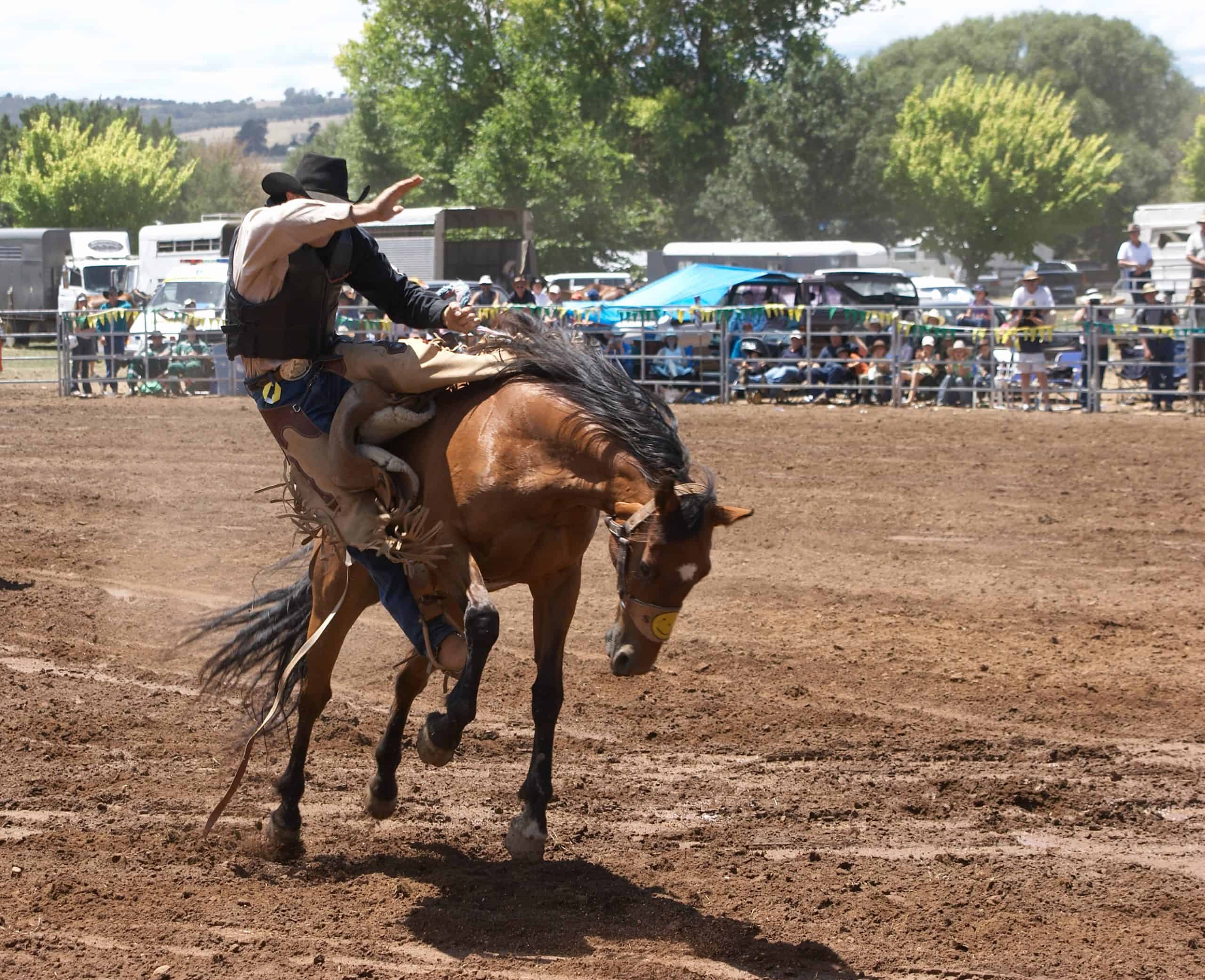 Cowboy riding bucking horse at a rodeo