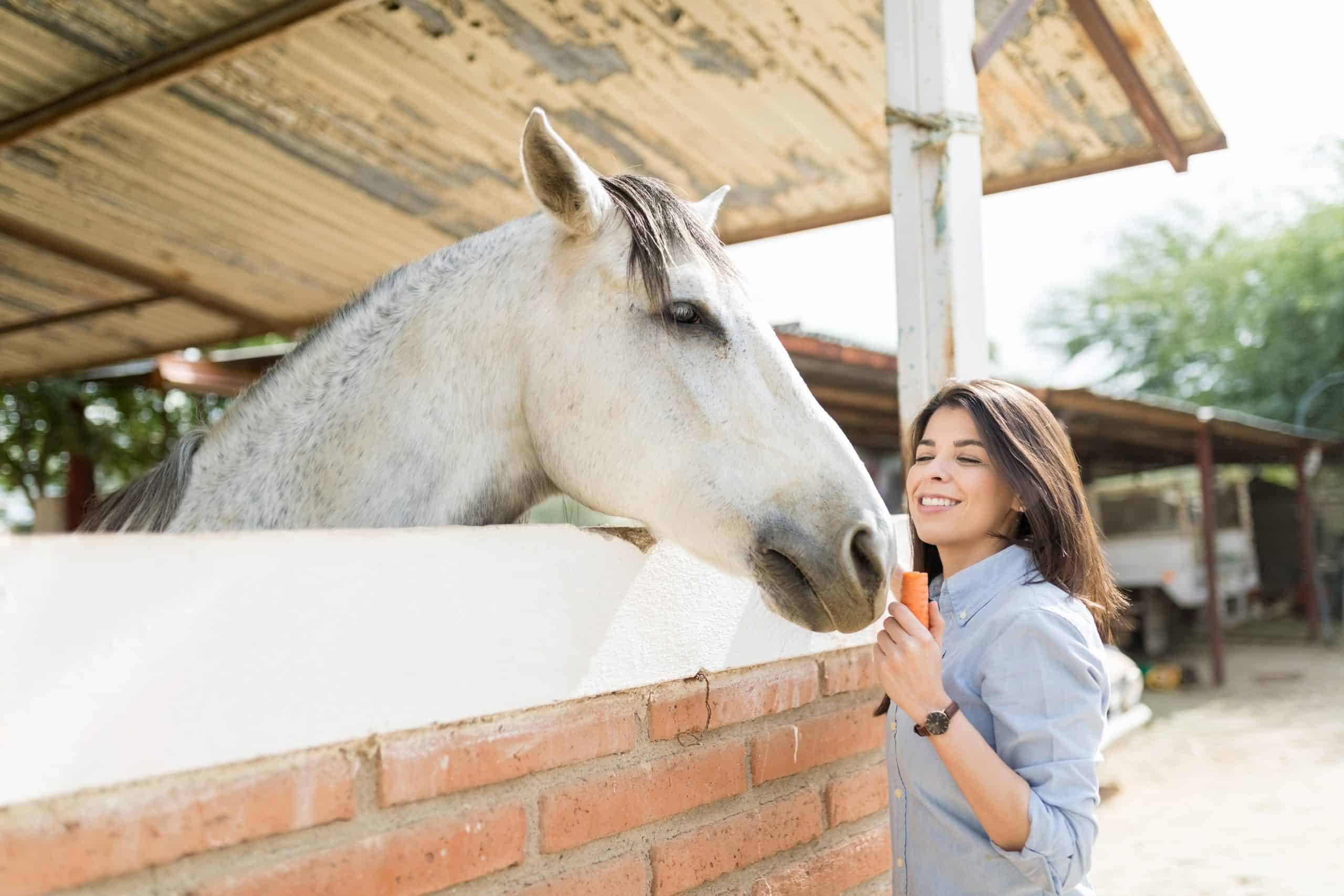 Attractive woman smiling while feeding her horse carrot at ranch