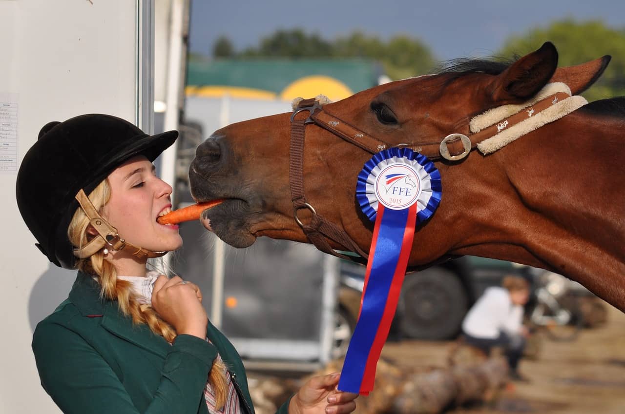human foods you can share with your horse