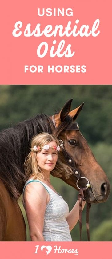 A Guide To Using Essential Oils For Horses