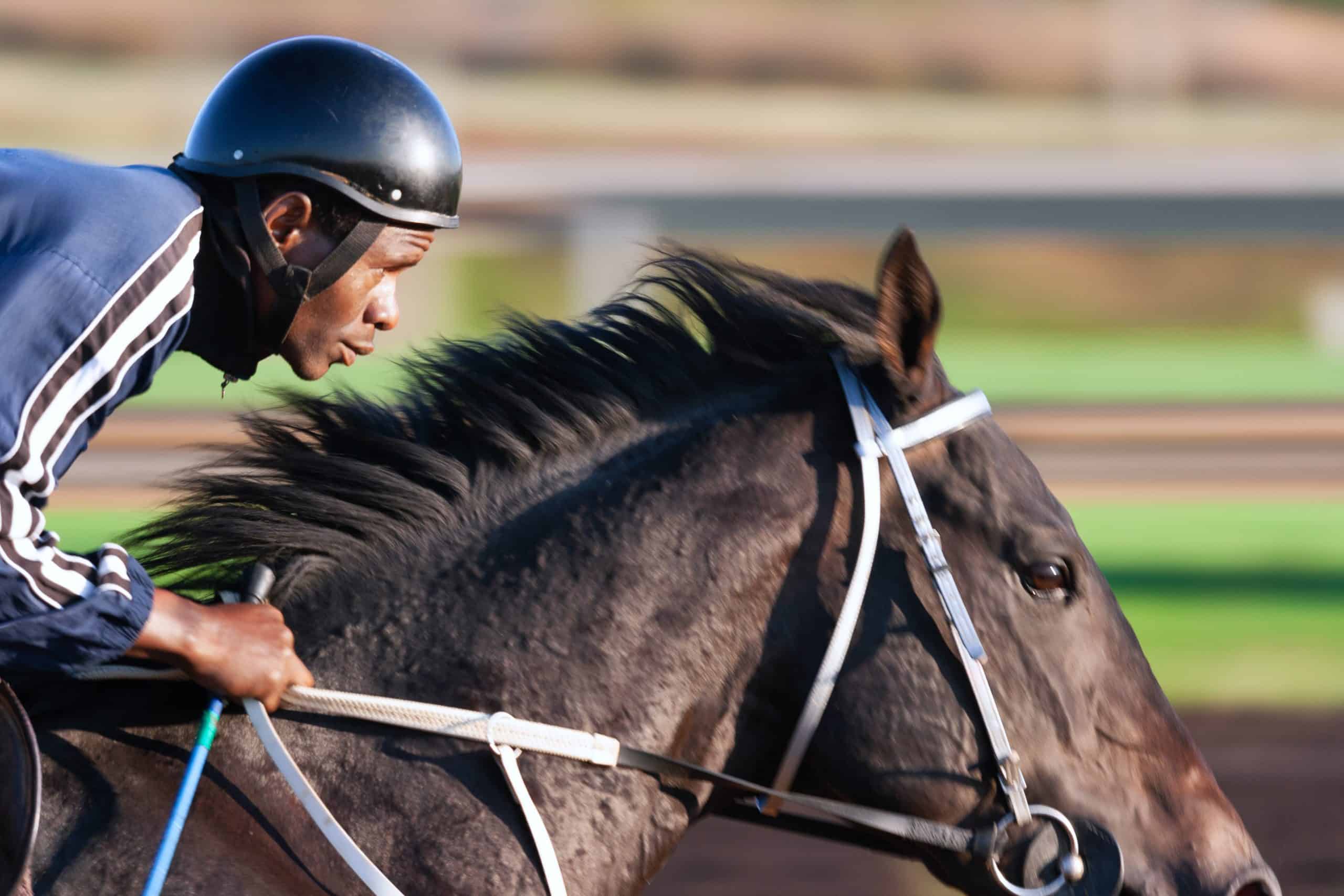 Tips To Fall From A Horse As Safely As Possible