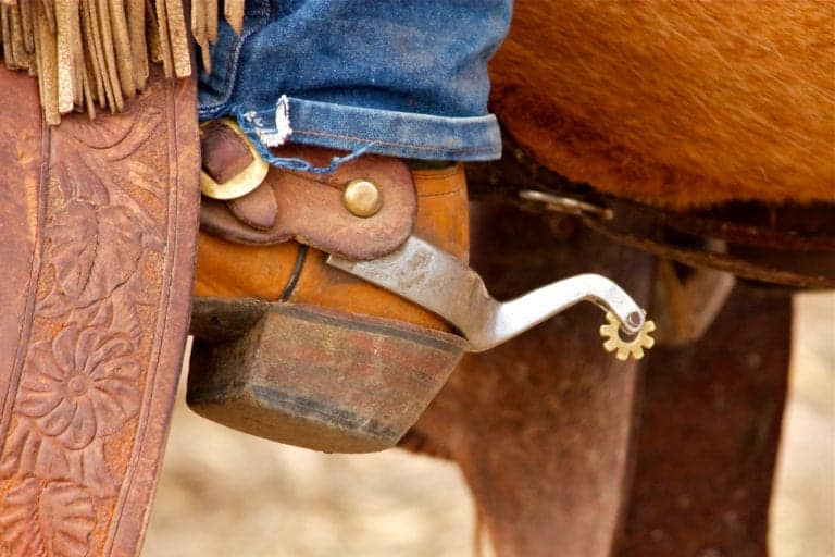 A western spur on a cowboy boot.