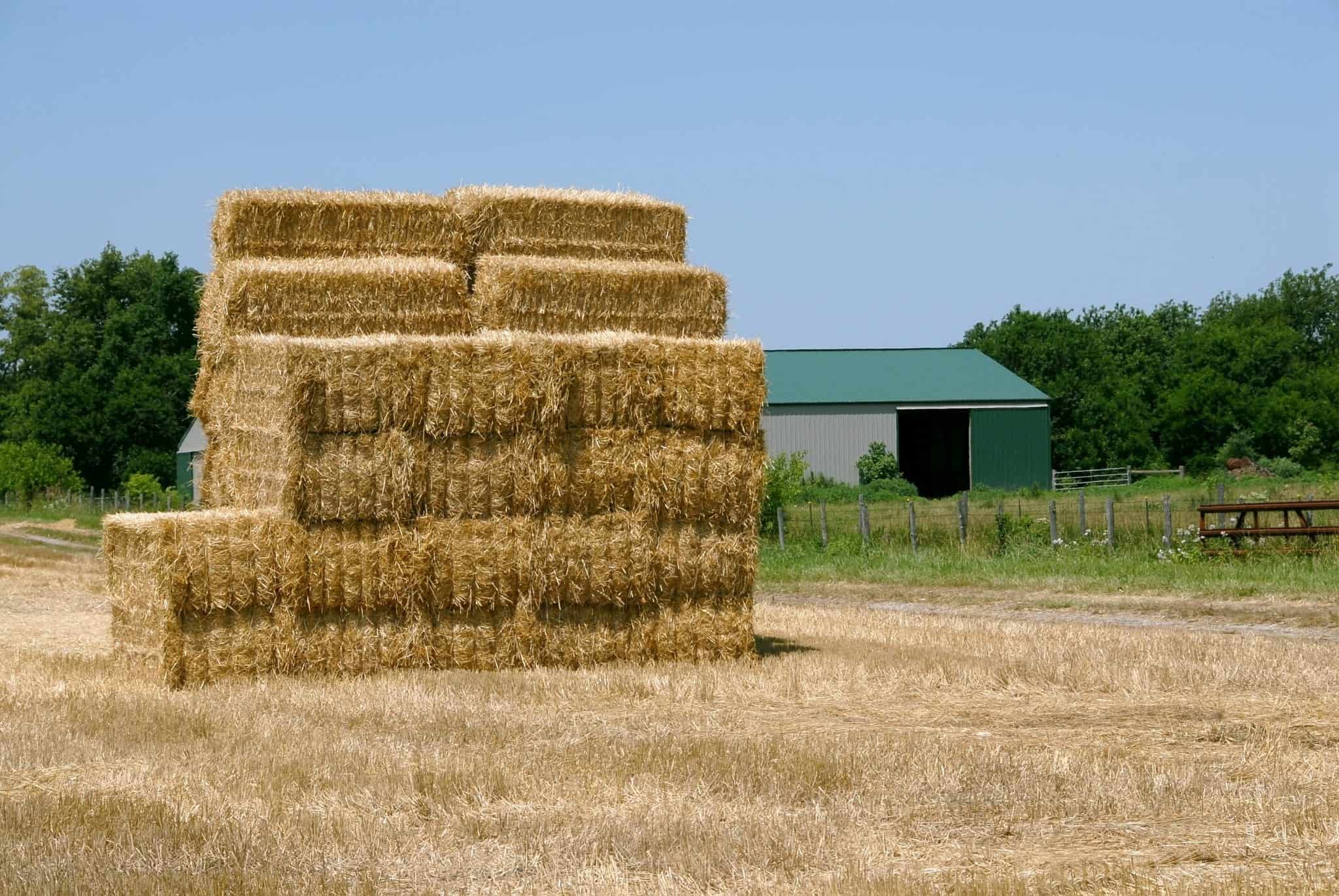 A stack of hay bales in the field of a farm in summer.