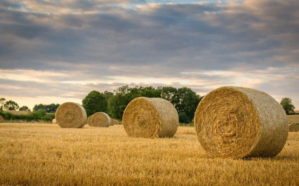 Hay Bales Round vs Square